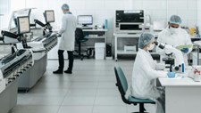 Análise CFD de DCV para instalações laboratoriais