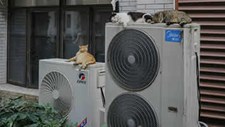 EHPA revela disparidades na aquisição de bombas de calor na Europa