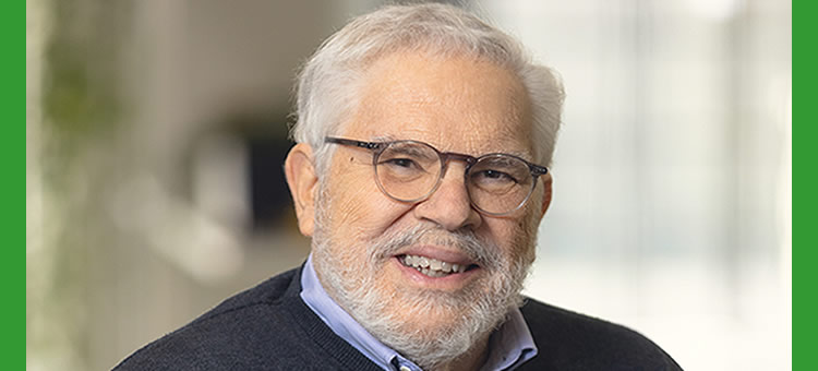 Entrevista a Luís Malheiro