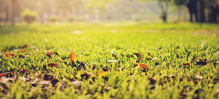 Sistema geotermia superficial baseado em estacas termo-ativadas